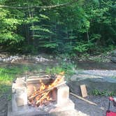 Review photo of Woodland Valley Campground - DEC by Kyla B., June 10, 2018