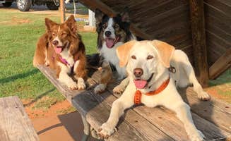 Lori C.'s photo of camping with pets at Copper Breaks State Park Campground near Childress, TX
