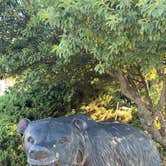 Review photo of RV Resort Four Seasons by Jaime B., June 17, 2021