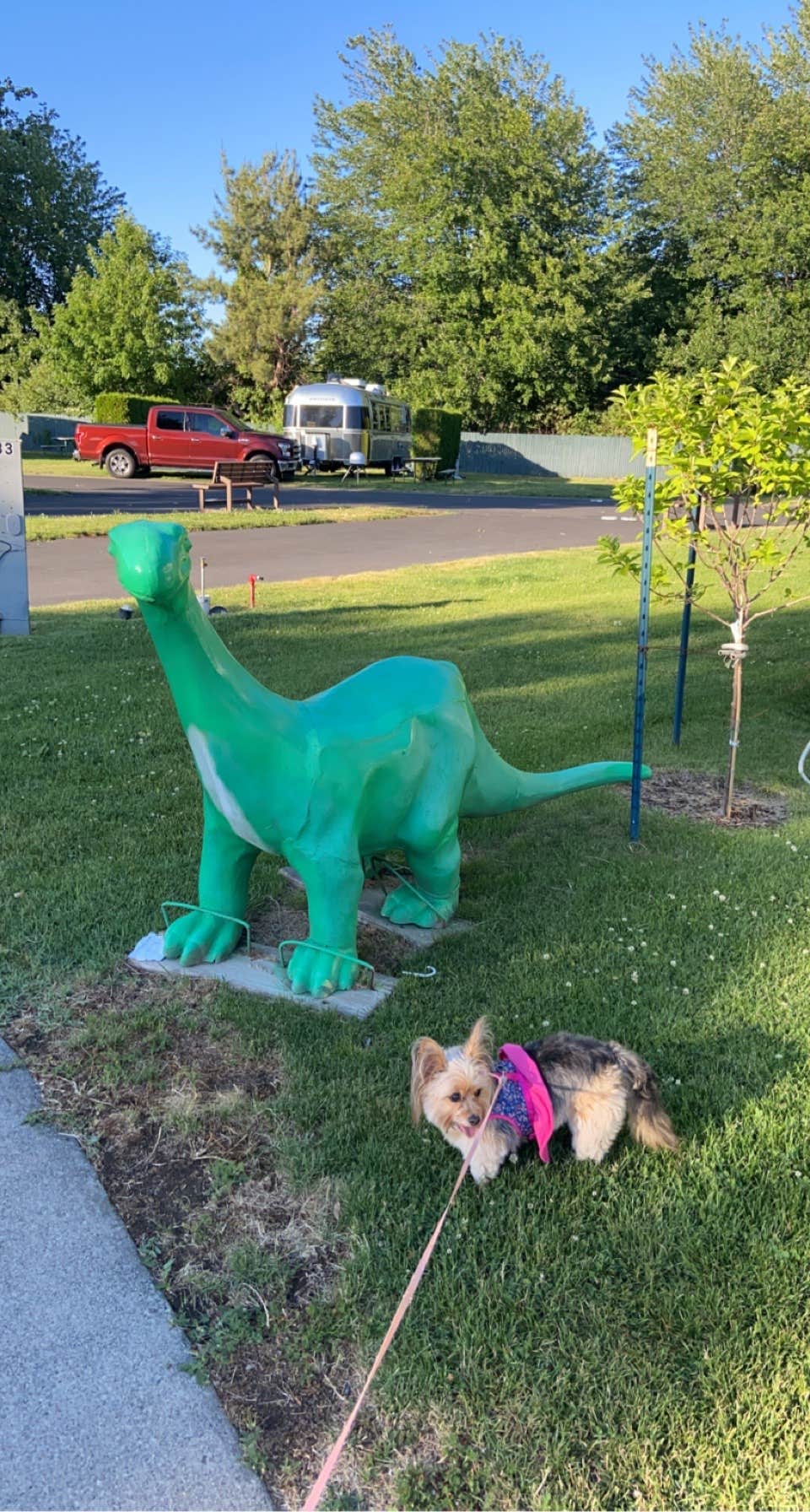 Jaime B.'s photo of camping with pets at RV Resort Four Seasons near Pendleton, OR