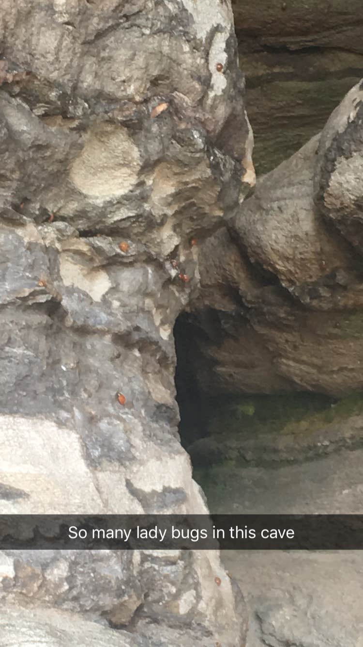 Camper-submitted photo at Pilot Mountain State Park Campground near Eden, NC