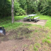 Review photo of Cedar Hill State Park Campground by Lori C., June 17, 2021