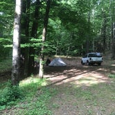 Review photo of Catskill/Kenneth L Wilson Campground by Kyla B., June 10, 2018