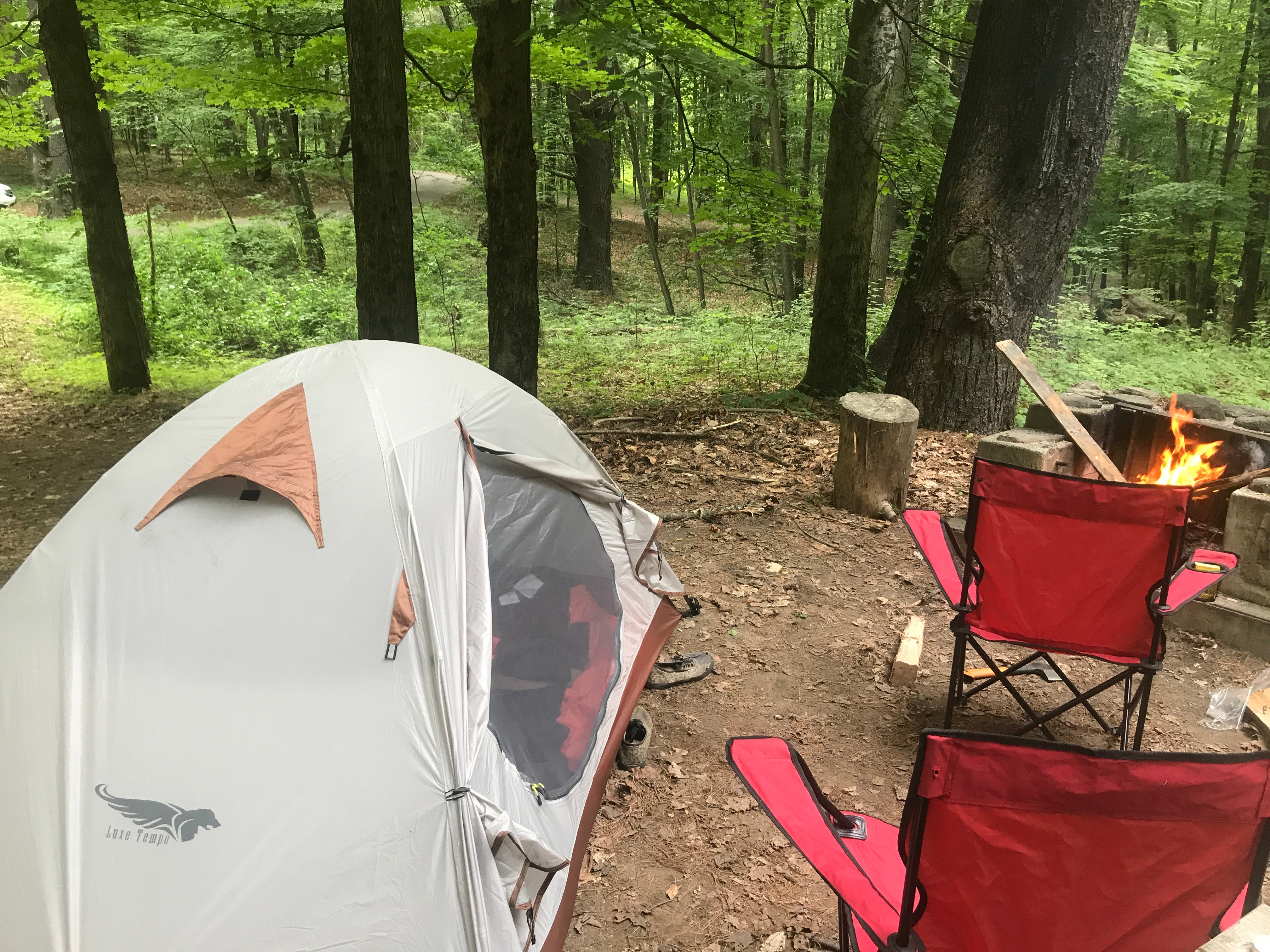 Camper submitted image from Catskill/Kenneth L Wilson Campground - 5