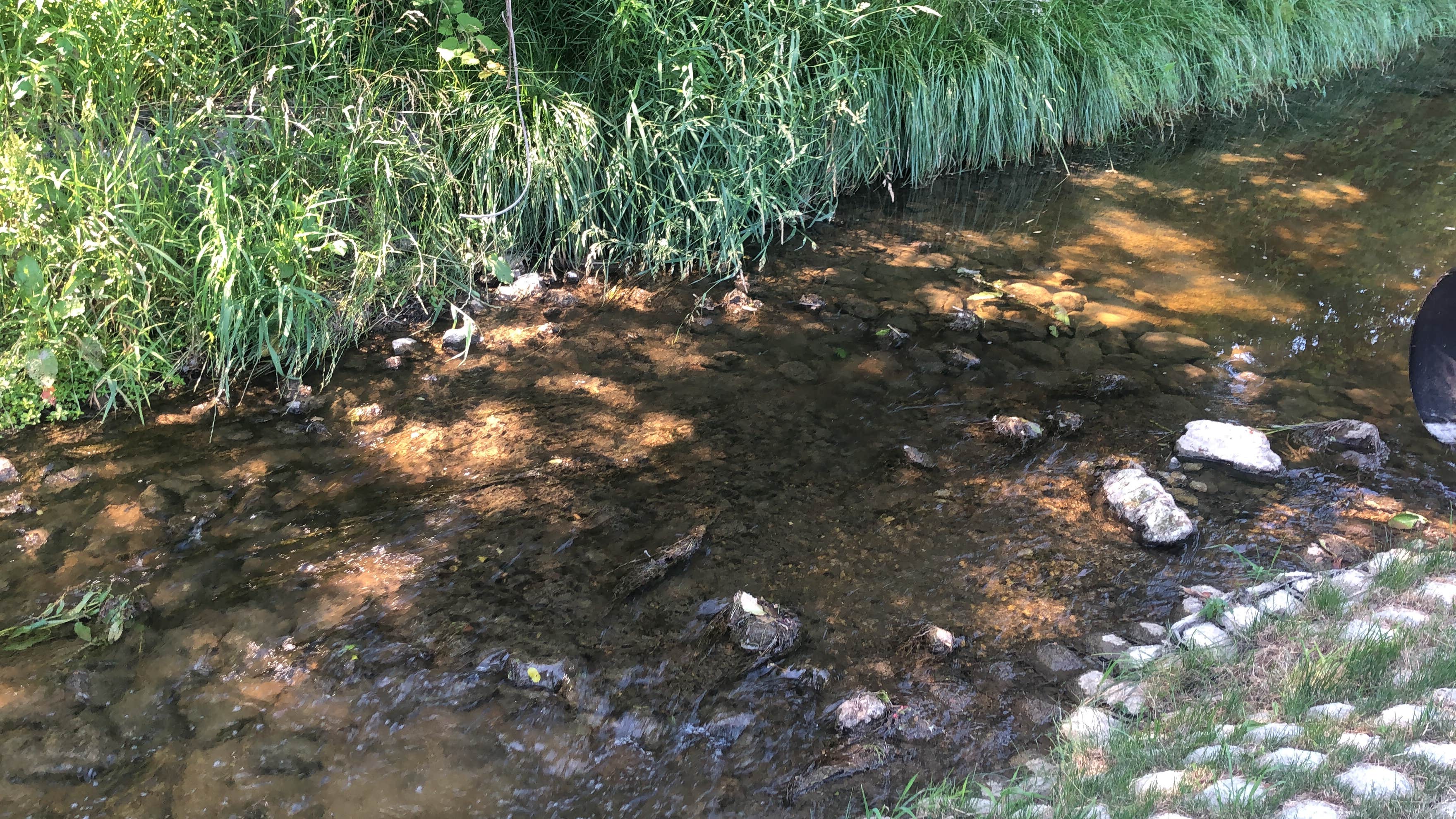 Hidden Diamonds Park