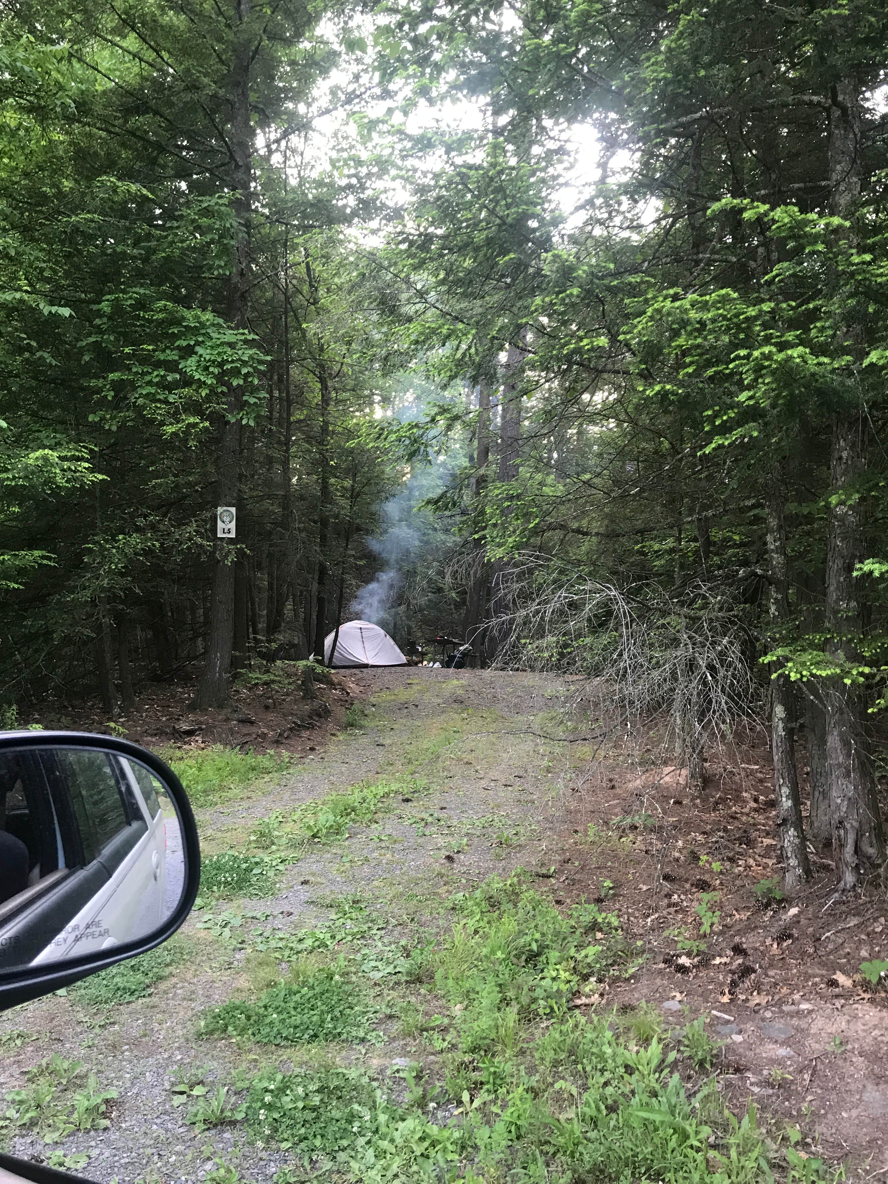 Camper submitted image from Rip Van Winkle Campgrounds - 2