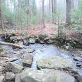 Review photo of Prentice Cooper State Forest Dispersed by Sarah N., July 16, 2016