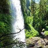 Review photo of Silver Falls State Park Campground by Laura Beth N., June 17, 2021