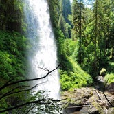 Review photo of Silver Falls State Park Campground by Laura Beth N., June 17, 2021