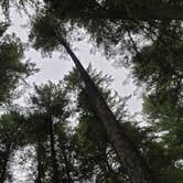 Review photo of Silver Falls State Park Campground by Laura Beth N., June 17, 2021