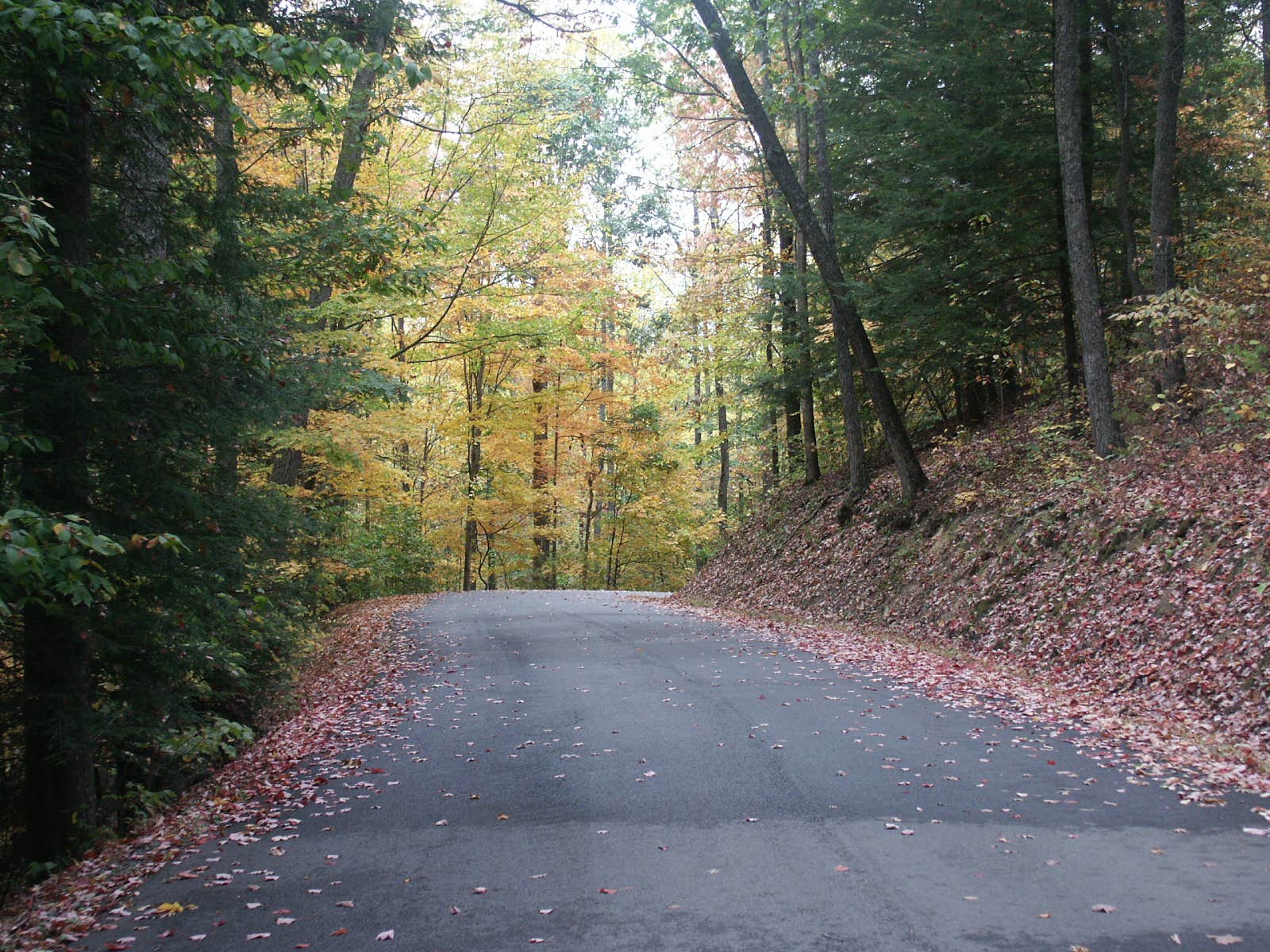 Camper-submitted photo at Breaks Interstate Park Campground near Paintsville, KY