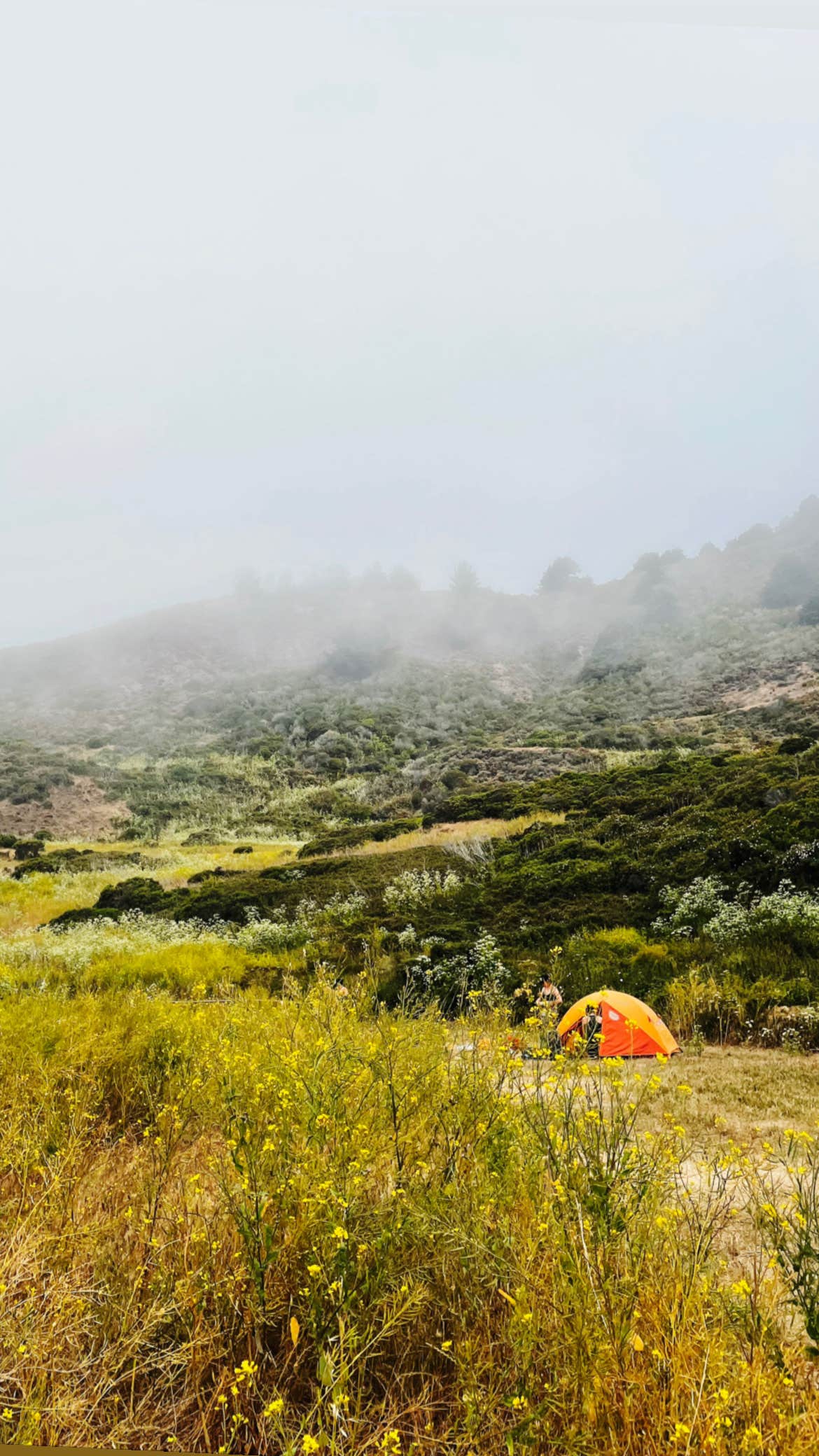 Corey O.'s photo of tent camping at Wildcat Campground — Point Reyes National Seashore near Larkspur, CA