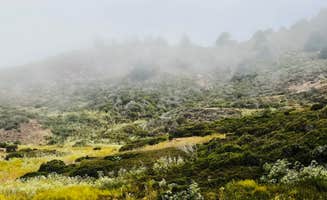 Corey O.'s photo at Wildcat Campground β Point Reyes National Seashore near Sausalito, CA