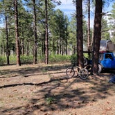 Review photo of Pajarito Springs (Dispersed) by Hunter , June 18, 2021