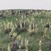 Review photo of Flagler Reservoir State Wildlife Area by Michael M., June 18, 2021