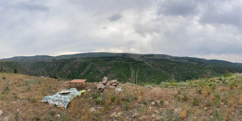 Camper submitted image from Shingle creek dispersed