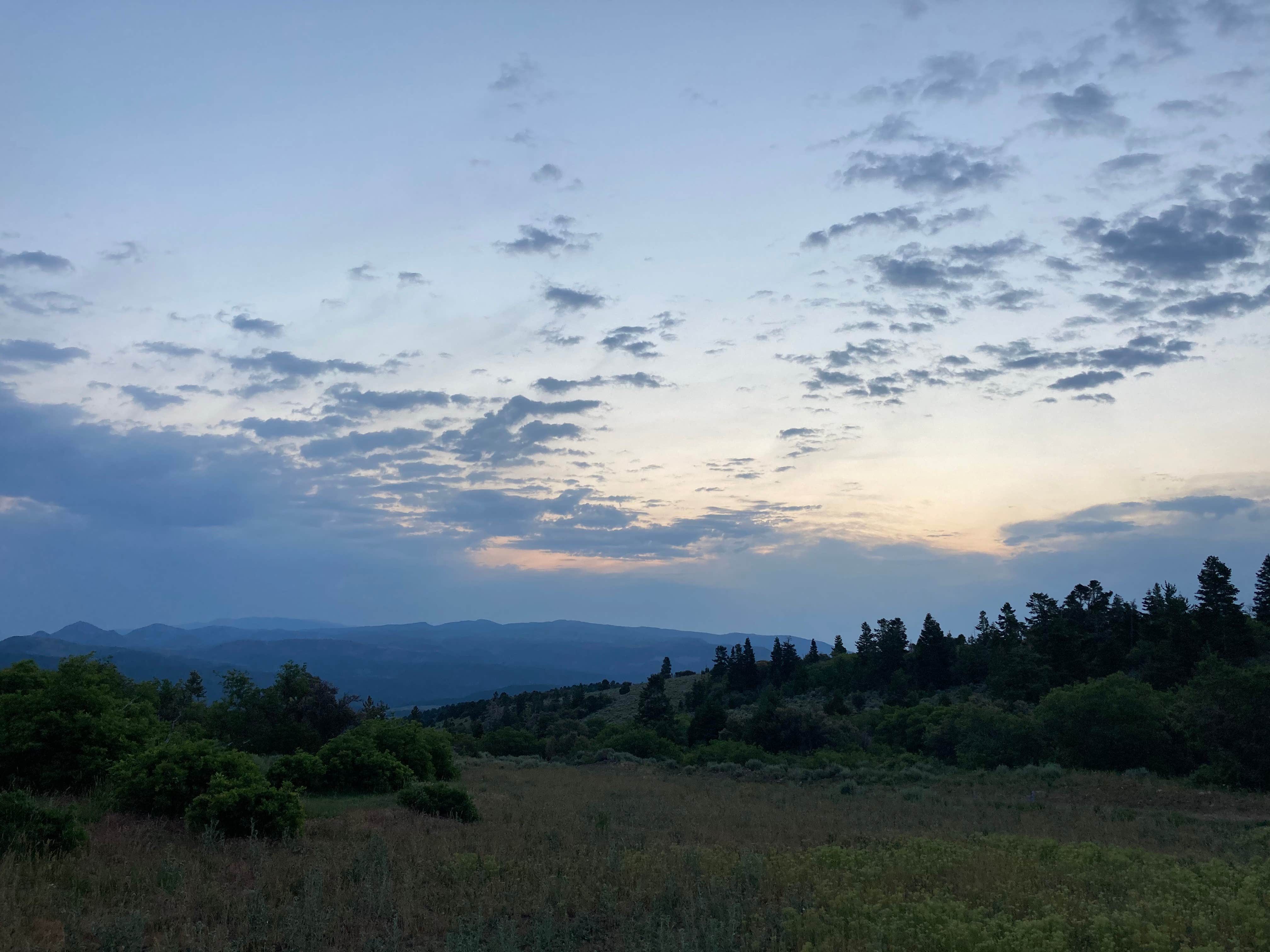 gabe's photo of a dispersed camping area at Shingle creek dispersed near Beaver, UT
