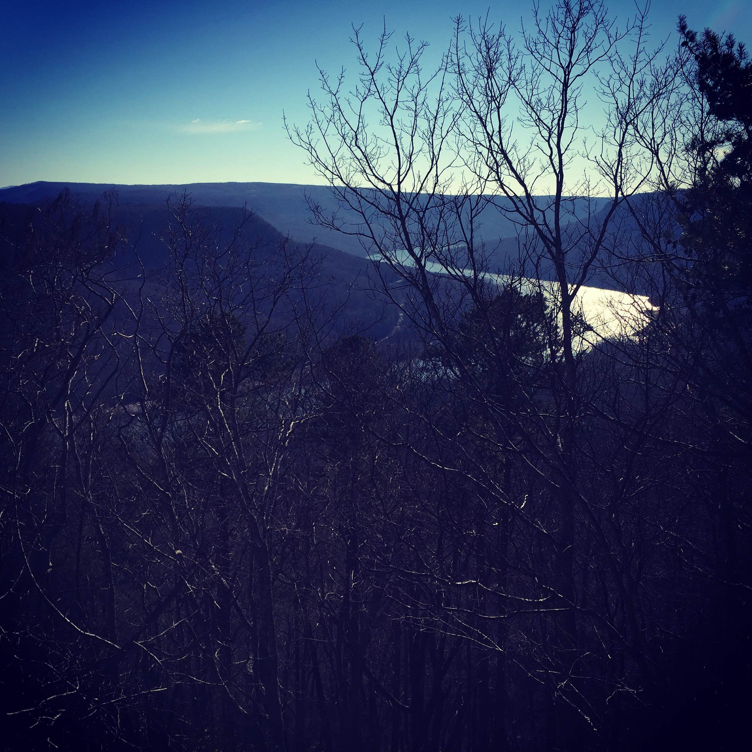 Sarah N.'s photo of a dispersed camping area at Prentice Cooper State Forest Dispersed near Estillfork, AL