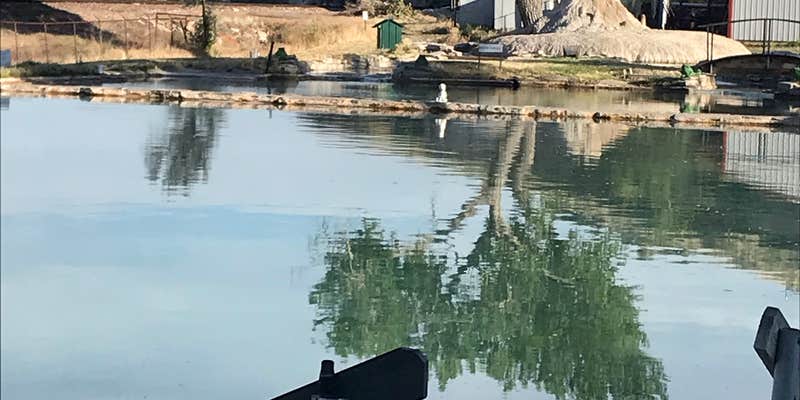 Camper submitted image from Fountain of Youth RV Park