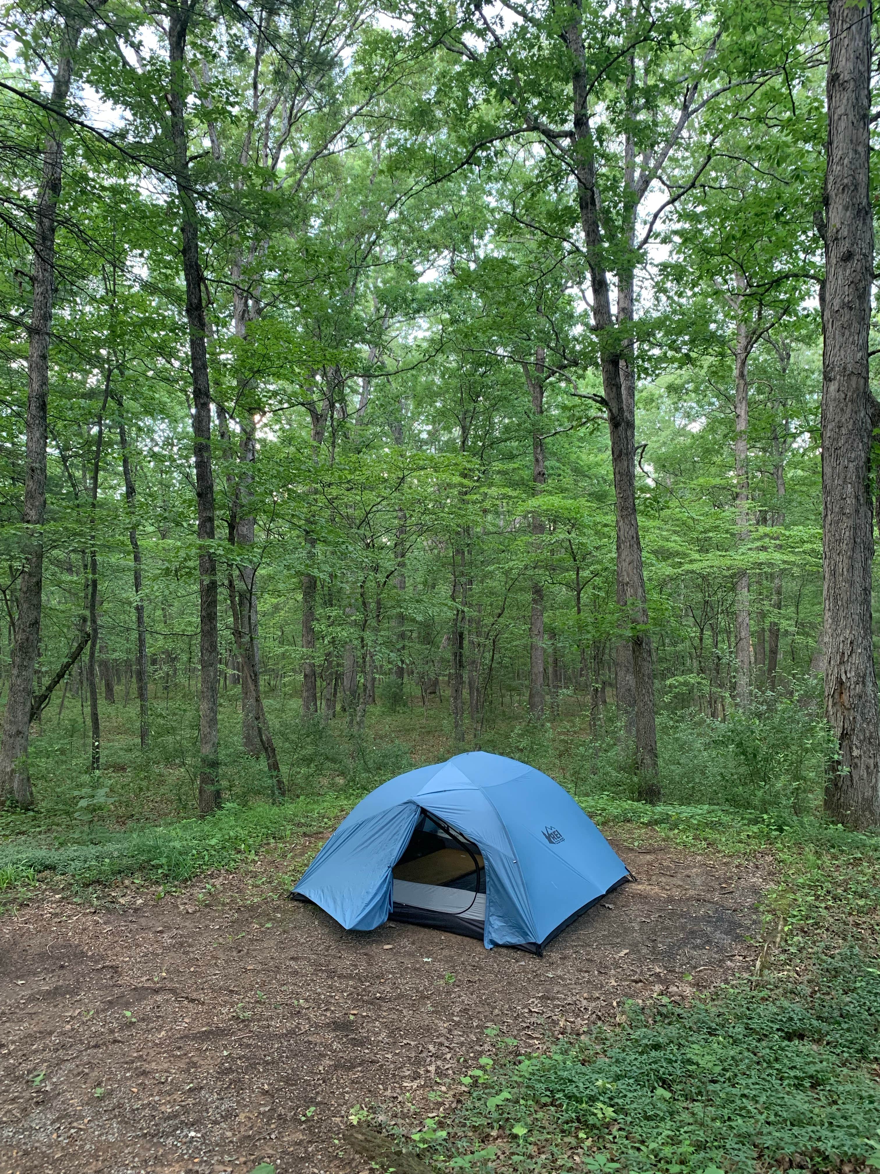 Katherin's photo at Hawk Recreation Area Campground near Romney, WV