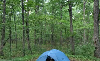 Katherin's photo at Hawk Recreation Area Campground near Stephens City, VA