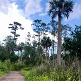 Review photo of Skidaway Island State Park Campground by Layla D., June 18, 2021