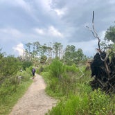 Review photo of Skidaway Island State Park Campground by Layla D., June 18, 2021