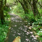 Review photo of Howard Creek Horse Camp — Silver Falls State Park by Jennifer H., June 18, 2021