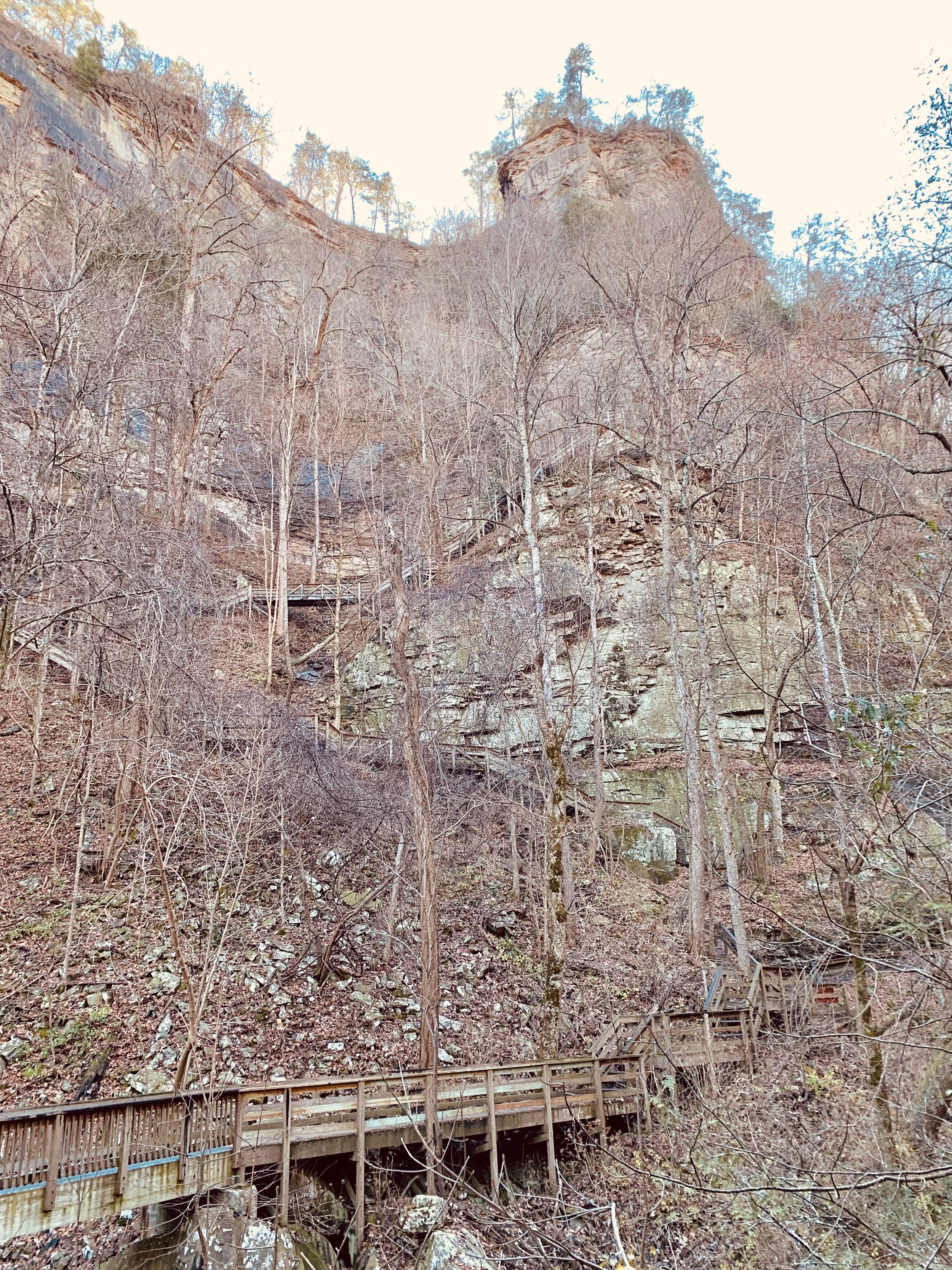 View All