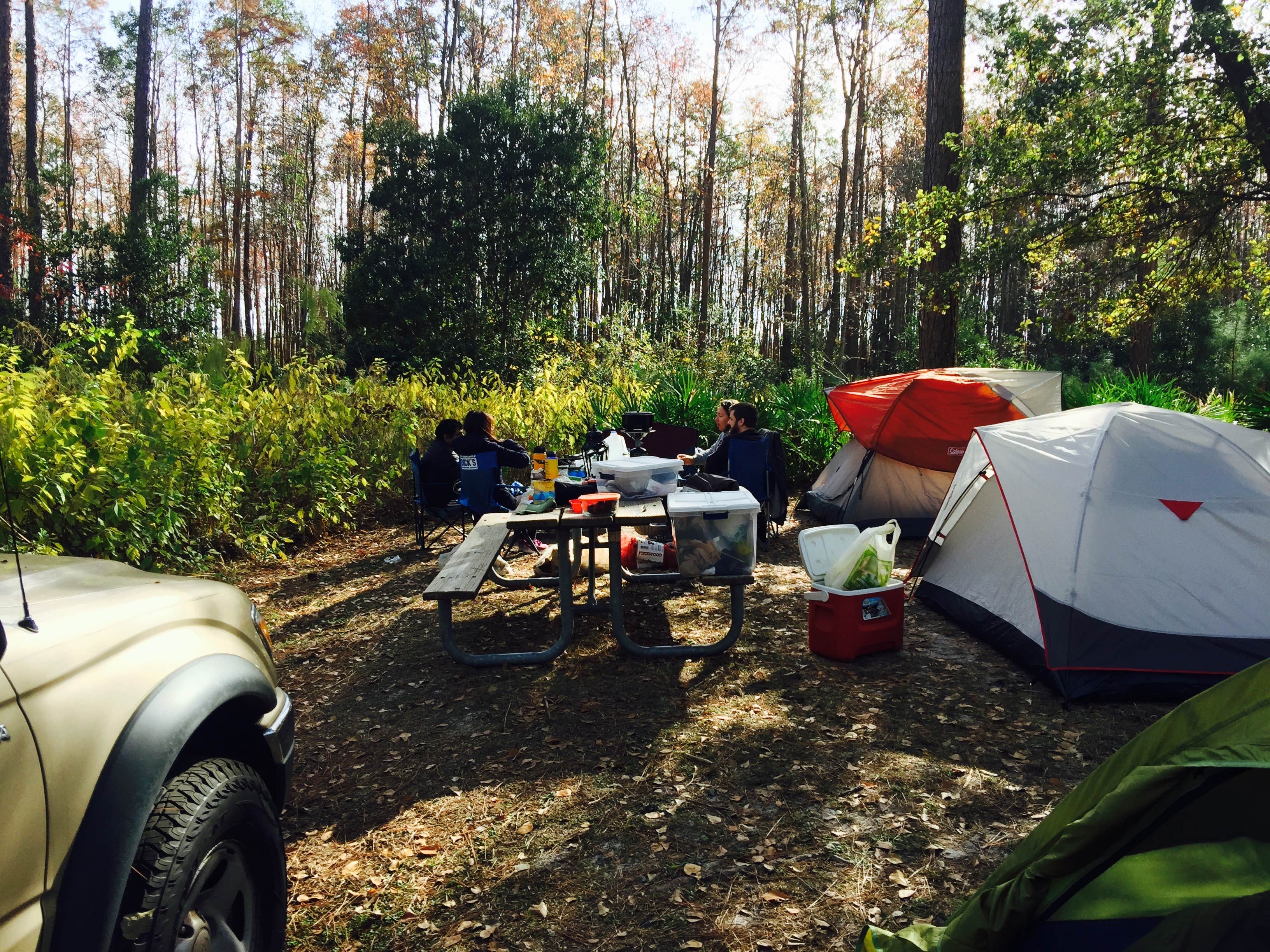 Latika Y.'s photo at Stephen C. Foster State Park Campground near Folkston, GA