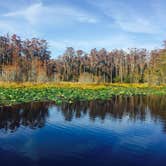 Review photo of Stephen C. Foster State Park Campground by Latika Y., June 18, 2021