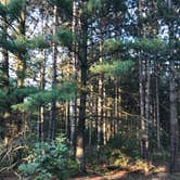 Review photo of Horseman's Park — Sand Ridge State Forest by Joy H., June 10, 2018