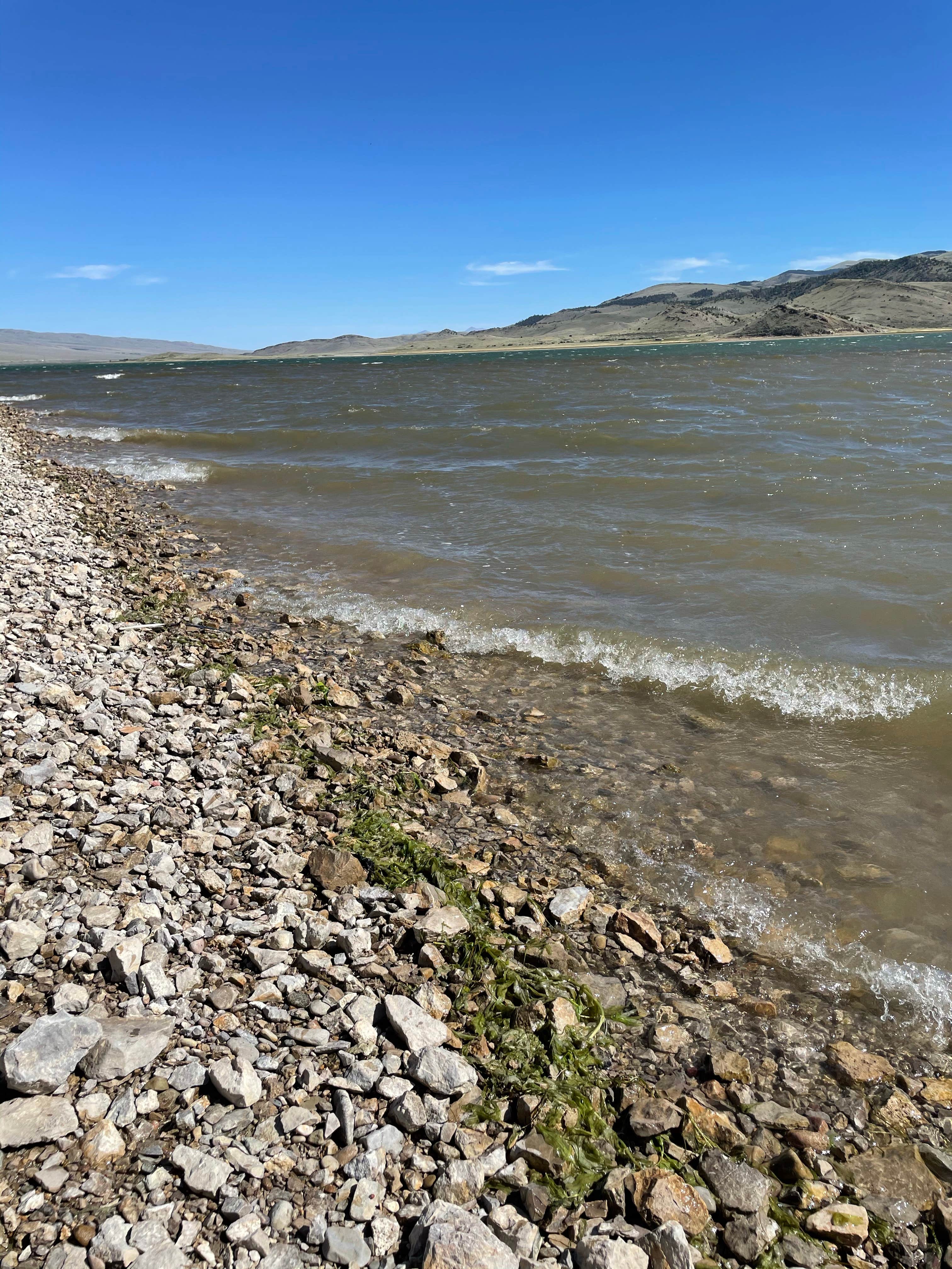 Camper-submitted photo at West Cameahwait Campground near Leadore, ID