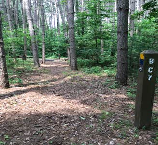 Camper-submitted photo from Horseman's Park — Sand Ridge State Forest