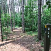 Review photo of Horseman's Park — Sand Ridge State Forest by Joy H., June 10, 2018