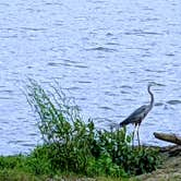 Review photo of Rocky Point (ft Gibson) by Stephen & Theresa B., June 18, 2021