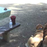 Review photo of Cold Springs Campground by Victoria F., June 10, 2018