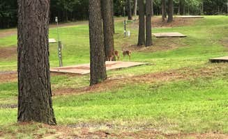 John's photo of camping with pets at CMA Iron Mountain Cabins and Campground in Arkansas