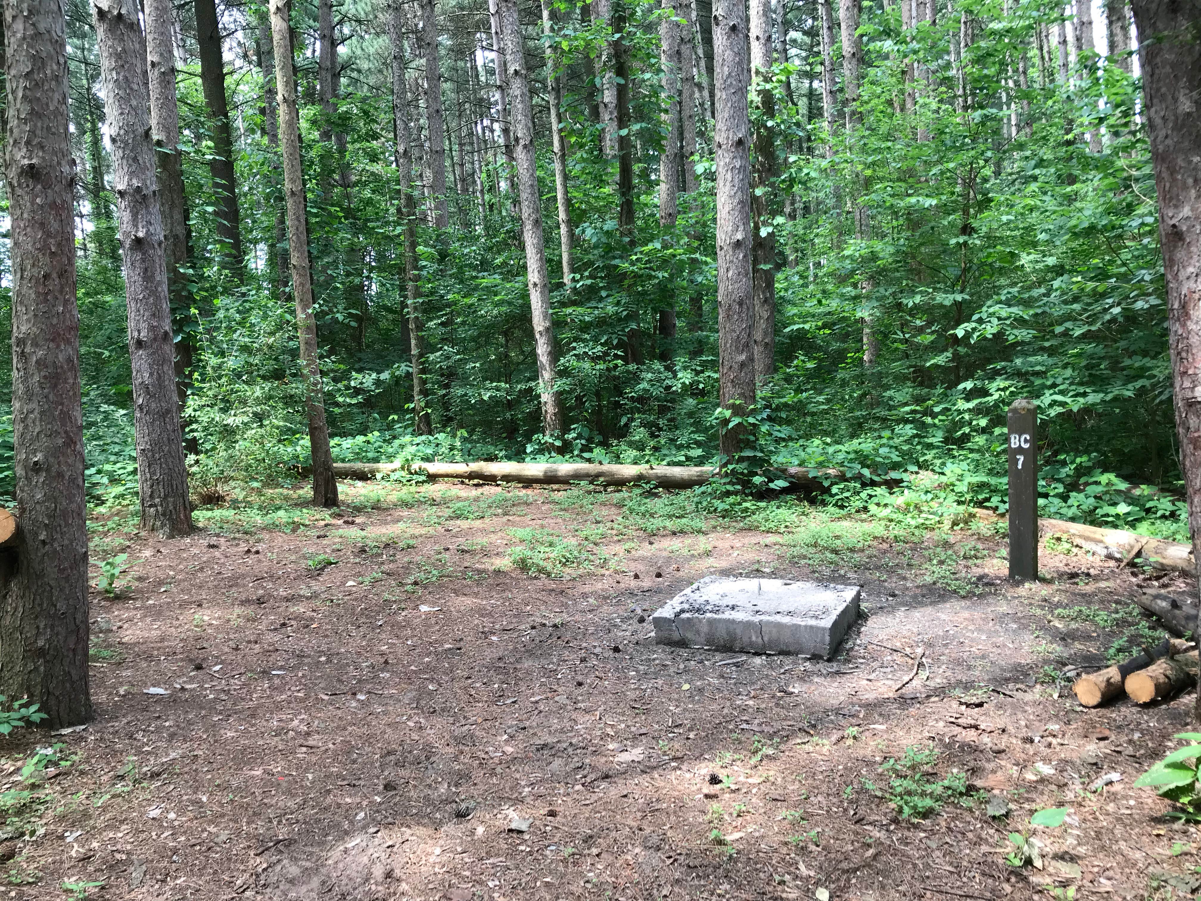 Camper-submitted photo at Horseman's Park — Sand Ridge State Forest near Forest City, IL