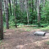 Review photo of Horseman's Park — Sand Ridge State Forest by Joy H., June 10, 2018