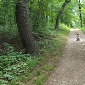 Review photo of Susquehannock State Park Campground by Nick S., June 10, 2018