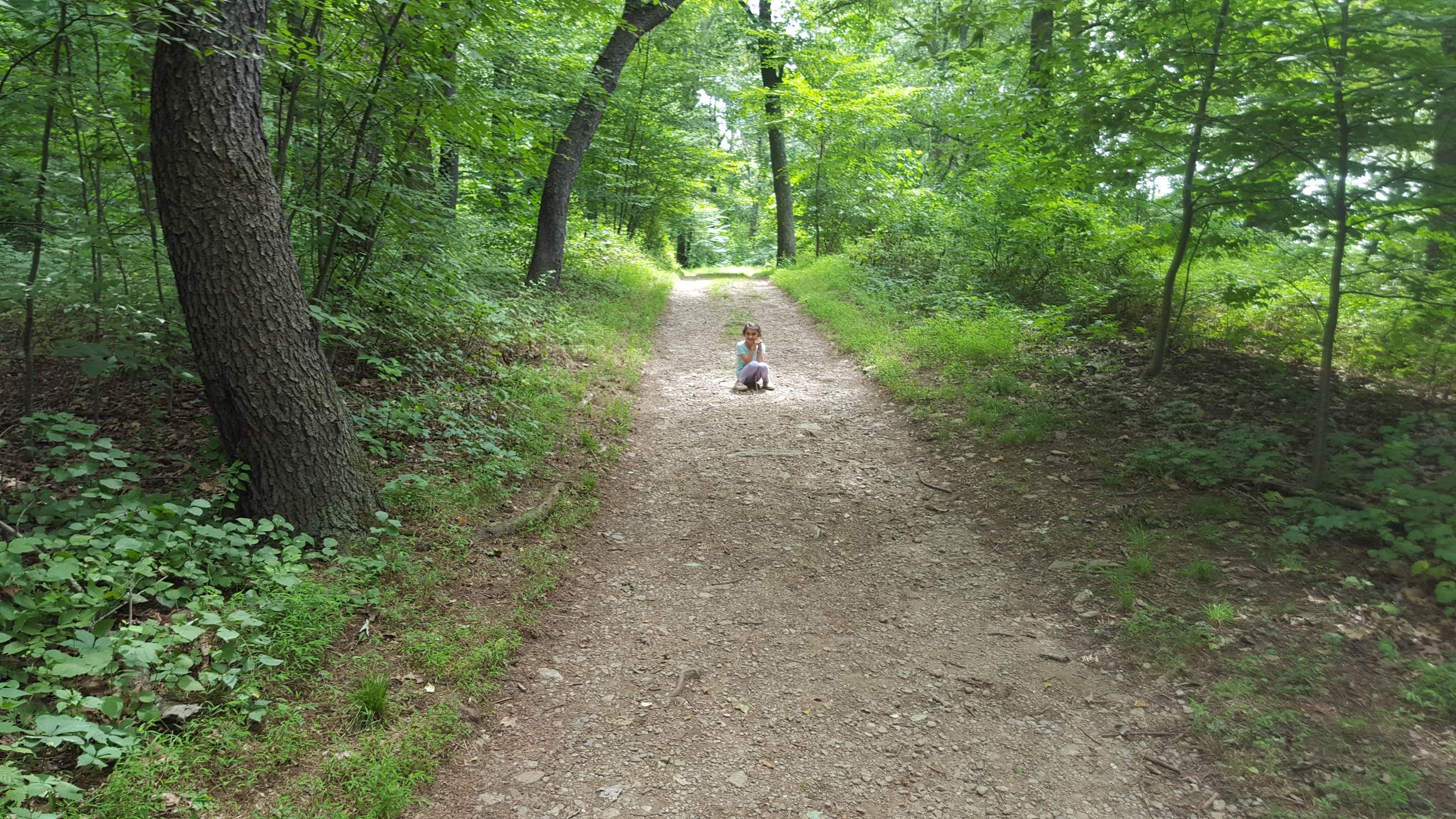 Camper submitted image from Susquehannock State Park Campground - 2