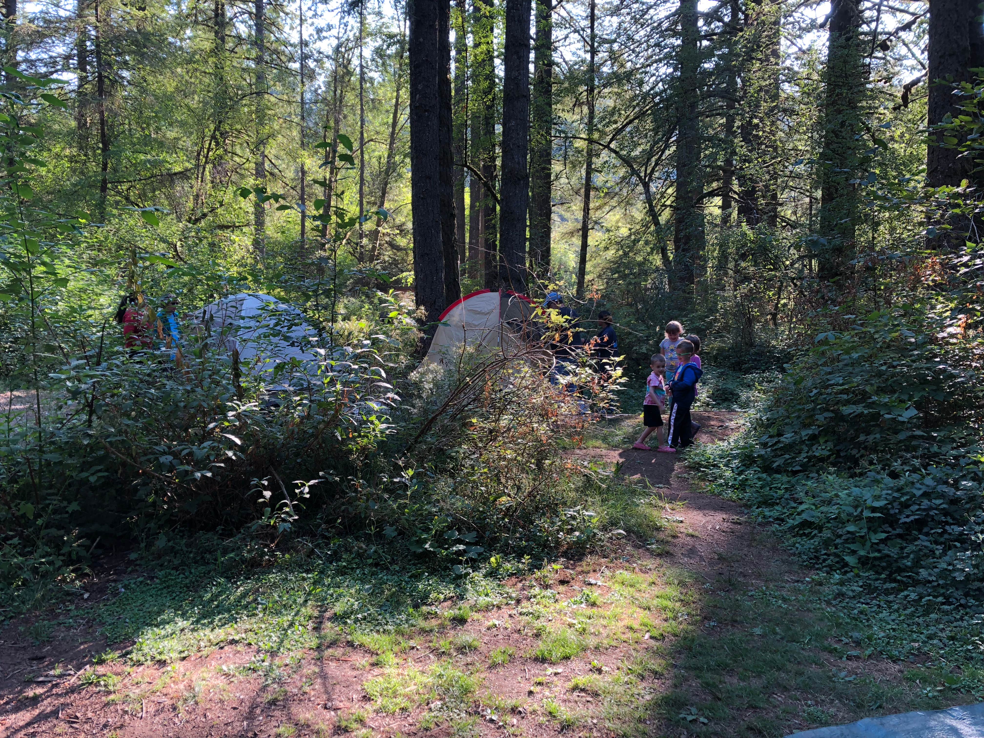 Minta J.'s photo at Silver Falls State Park Campground near Molalla, OR