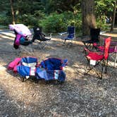 Review photo of Silver Falls State Park Campground by Minta J., June 18, 2021