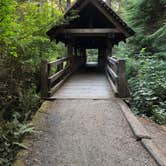 Review photo of Silver Falls State Park Campground by Minta J., June 18, 2021