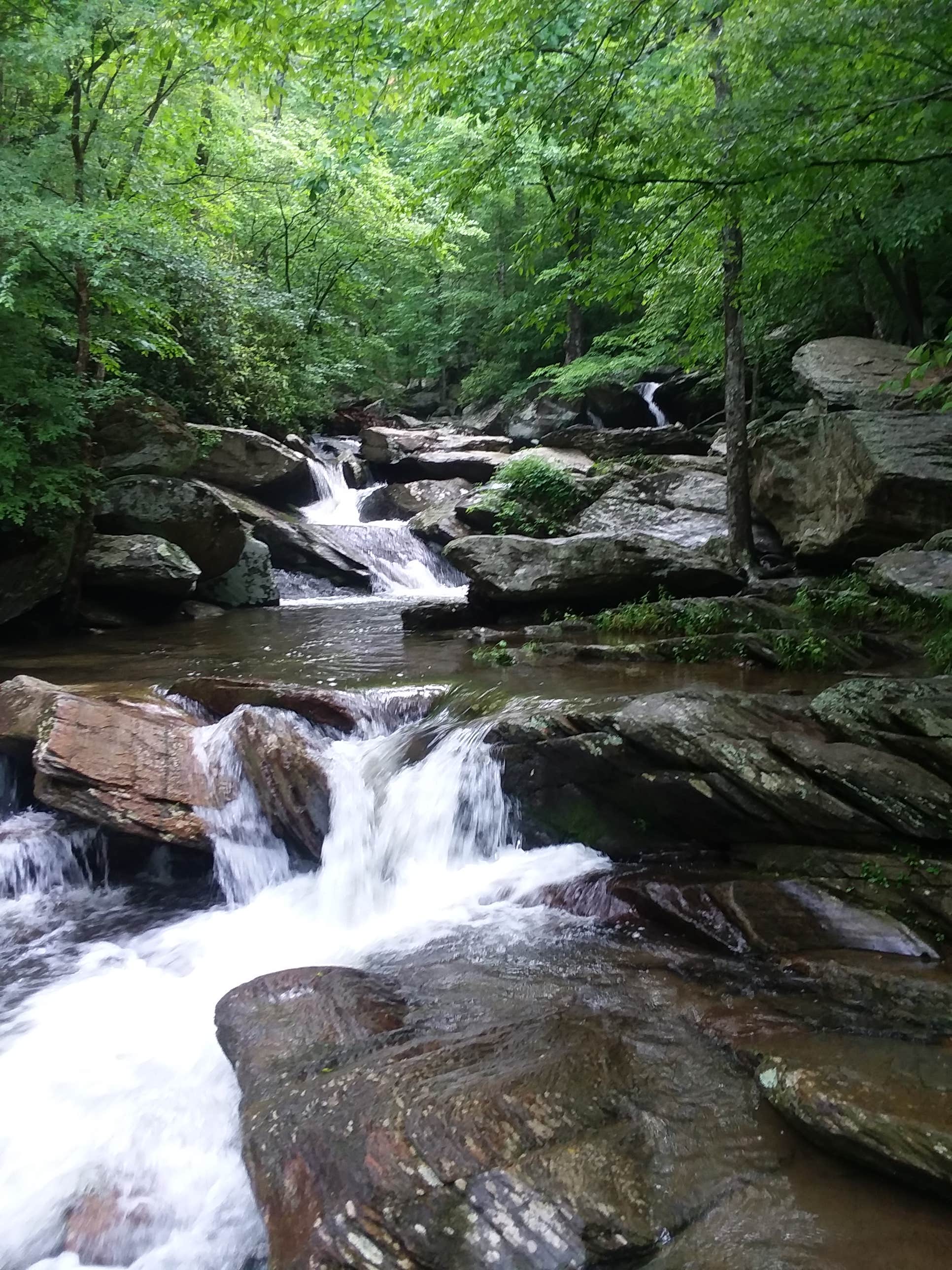 Camper submitted image from Thunder Rock Campground - 5