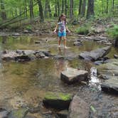 Review photo of Cowans Gap State Park Campground by Nick S., June 10, 2018