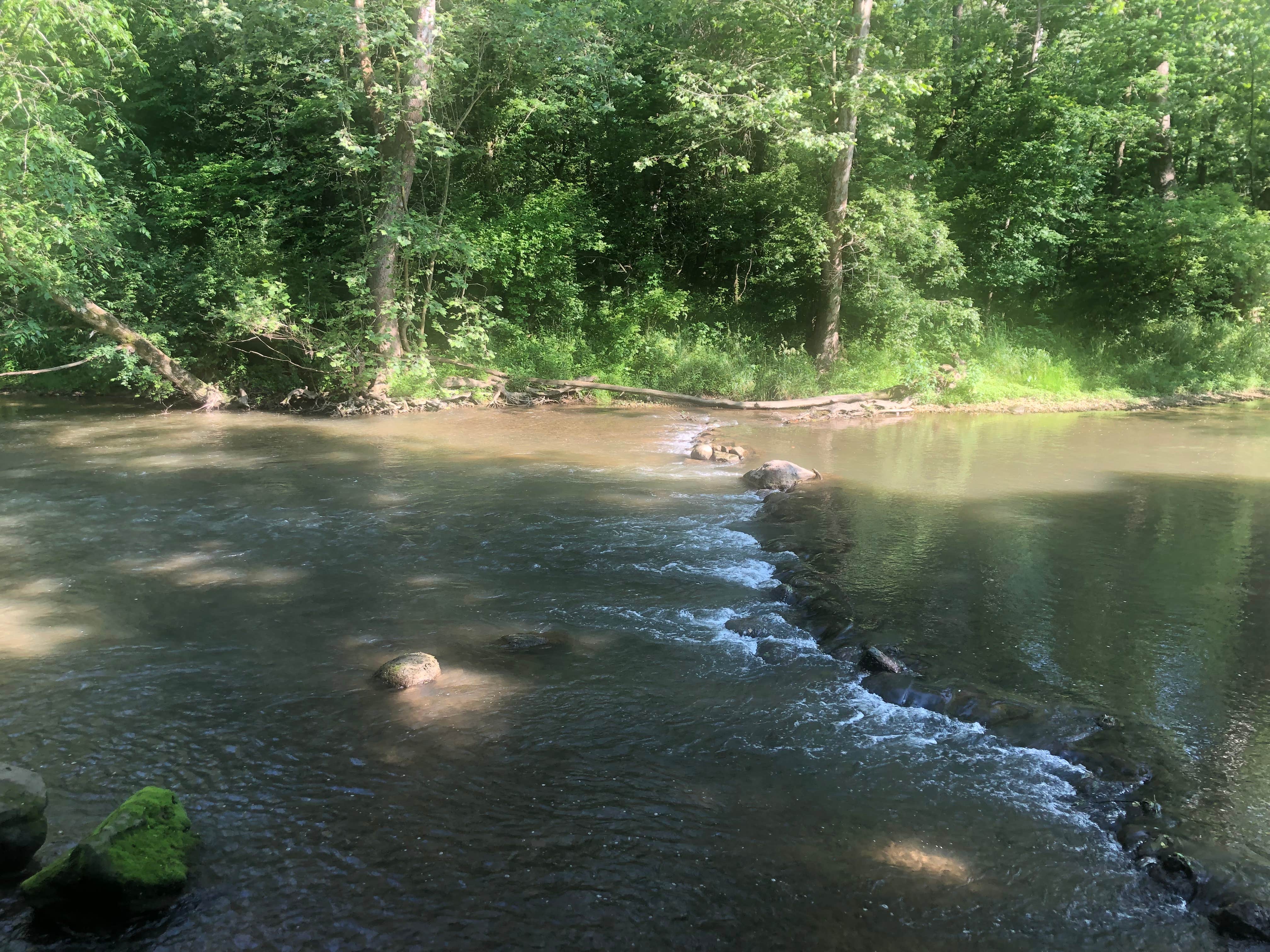 Camper-submitted photo at Jacoby Road Canoe Launch near Lockbourne, OH
