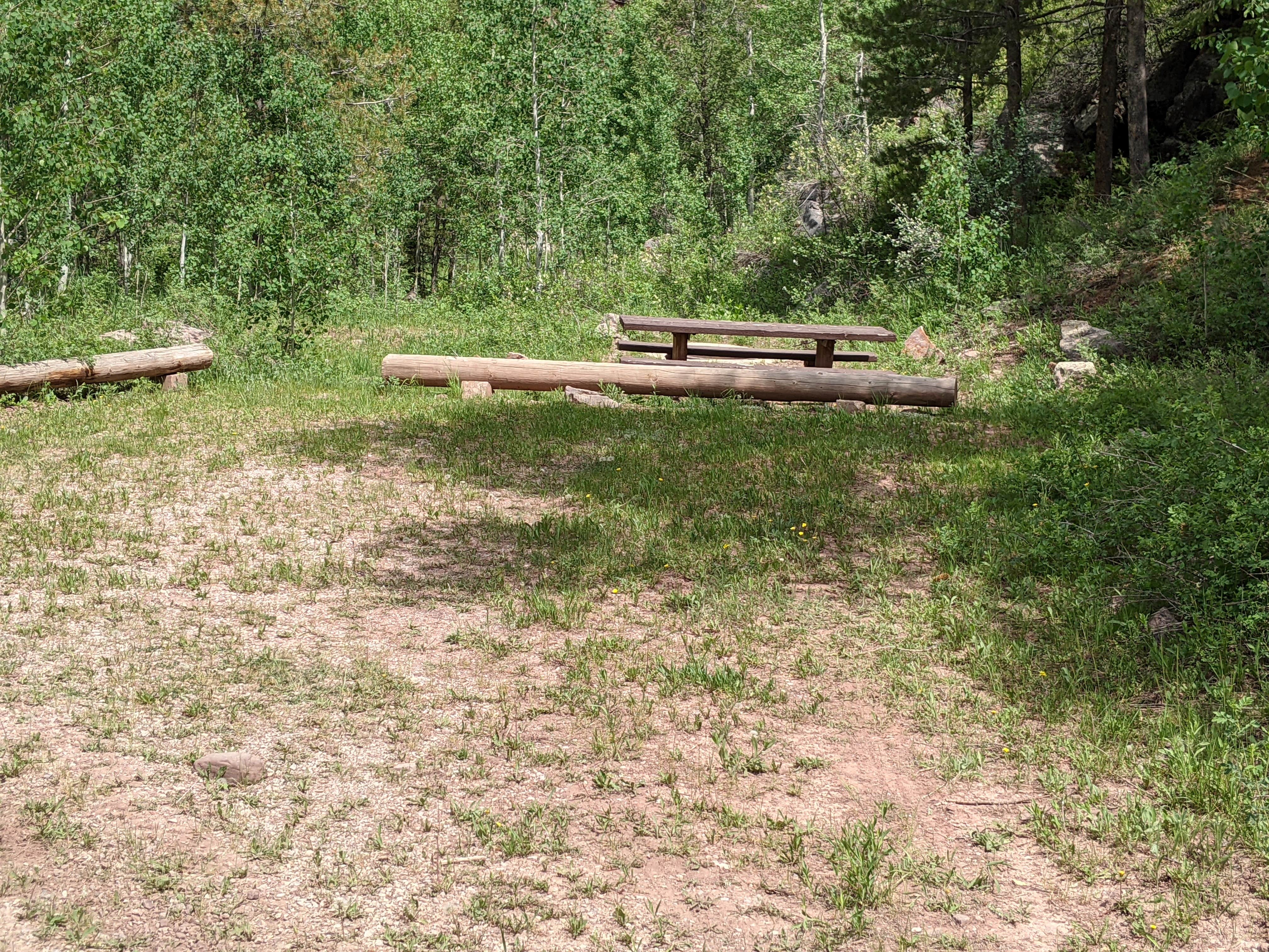 Camper submitted image from Ashley National Forest - Deep Creek Campground - 4