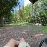 Review photo of Ossineke State Forest Campground by Brian N., June 18, 2021
